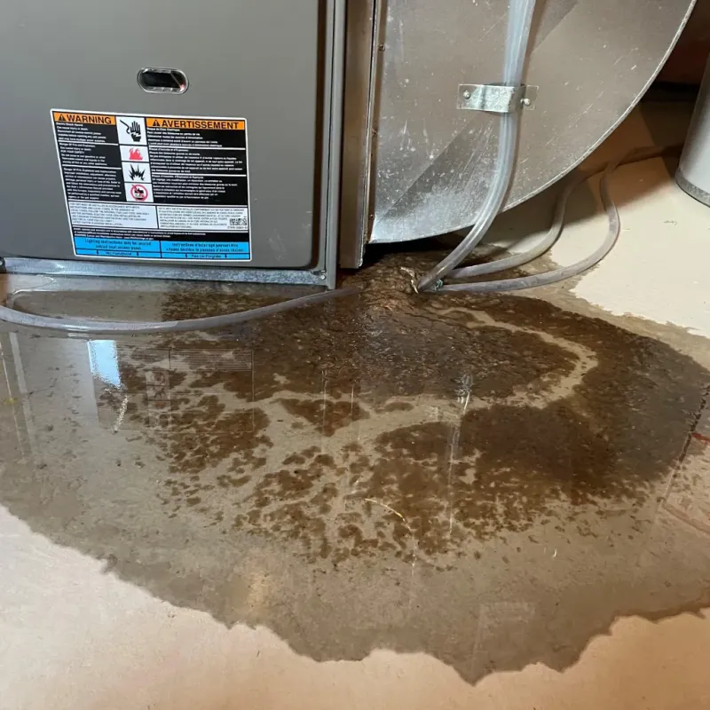 Appliance Leak Cleanup in Ringgold, LA